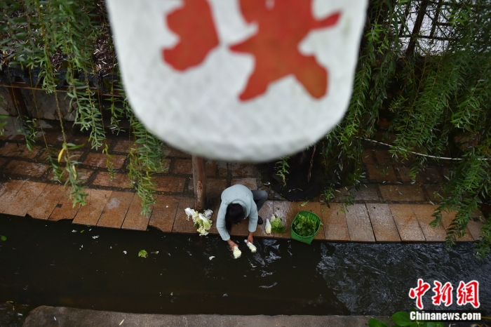 圖為居民在興賢古街小溪邊洗菜。<a target='_blank' href='/' >中新網(wǎng)</a>記者 李駿 攝