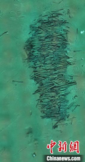 572287_700x700 572287_700x700