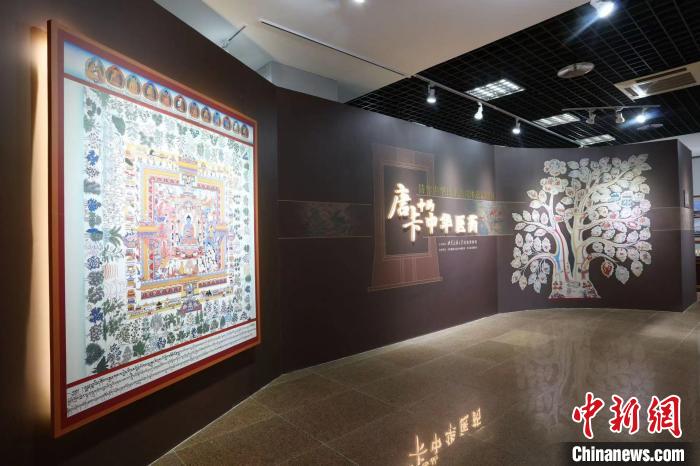 “唐卡中的中華醫(yī)藥”展覽開(kāi)展走近藏醫(yī)藥唐卡的綺麗世界