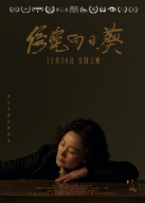 電影《傍晚向日葵》海報(bào)。