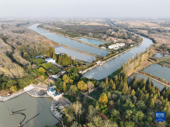 洪澤湖湖水經過周橋渠首流向周橋灌區(qū)周橋總干渠（11月8日攝，無人機照片）