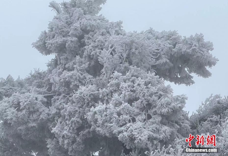 wc930x592_029eac1c5c194d2299542e25d8d0d5ef wc930x592_029eac1c5c194d2299542e25d8d0d5ef