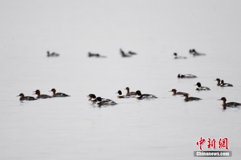 wc930x592_5ce093cf7d774b72b75d4101f75107e7 wc930x592_5ce093cf7d774b72b75d4101f75107e7