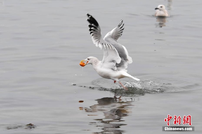 wc930x592_5318000713344928980046b295bbd618 wc930x592_5318000713344928980046b295bbd618