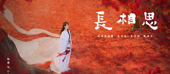 《長相思》海報