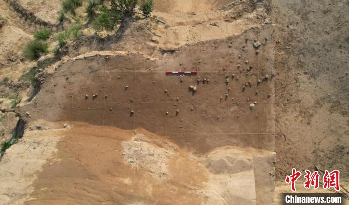 2023年陽原新廟莊遺址考古一處發(fā)掘地點(diǎn)。(河北省文物考古研究院供圖).jpeg