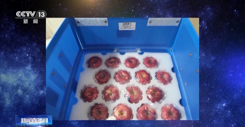 此次天舟七號攜帶新鮮水果將近90公斤，比天舟六號增加了近30公斤。（圖源：央視新聞）