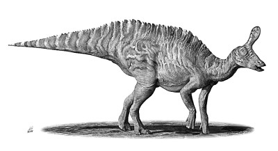 龍年將至說(shuō)恐龍 龍年將至說(shuō)恐龍