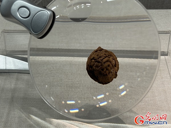 新春走基層｜春節(jié)里的博物館，“龍”味十足！