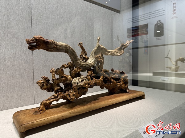 新春走基層｜春節(jié)里的博物館，“龍”味十足！