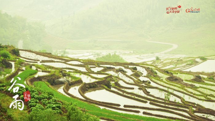 【節(jié)氣里的大美中國(guó)】來自谷雨的信丨春耕正當(dāng)時(shí)，向明亮的日子進(jìn)發(fā)！