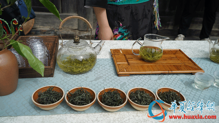 保靖黃金茶。（攝影：虞鷹）