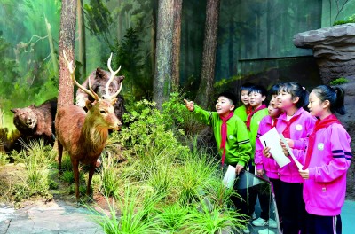 博物館研學(xué)，在行走的課堂中品讀世界