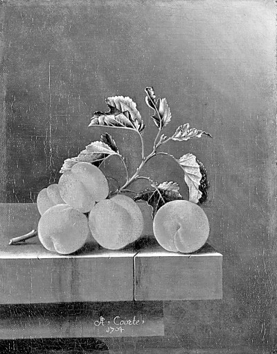 “一汀煙雨杏花寒”——中國(guó)古詩(shī)與杏的跨文化“旅行” “一汀煙雨杏花寒”——中國(guó)古詩(shī)與杏的跨文化“旅行”