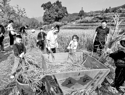 勞動(dòng)體驗(yàn)激發(fā)農(nóng)文旅發(fā)展活力