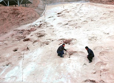 臨夏世界地質(zhì)公園：大河繞丹崖 萬(wàn)峰立河州