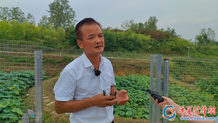 邱冠嘉受訪。