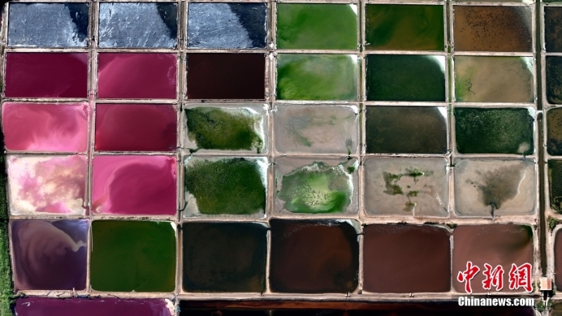 8月7日，山東省榮成市港西鎮(zhèn)朝陽(yáng)港的一處鹽田呈現(xiàn)出色彩斑斕、絢麗多彩的獨(dú)特景觀。