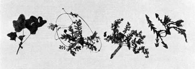 必備技能1658 必備技能1658