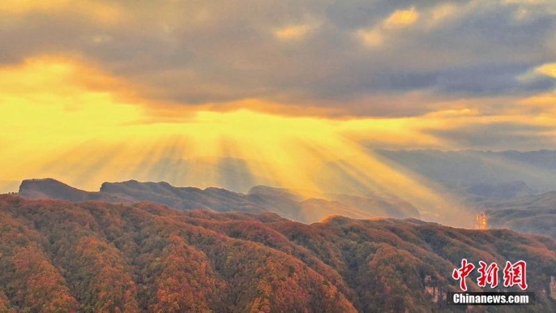 四川旺蒼鹽井河森林公園秋色濃 五彩斑斕美如畫(huà)