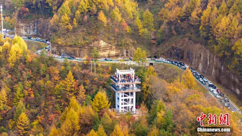 四川旺蒼鹽井河森林公園秋色濃 五彩斑斕美如畫(huà)