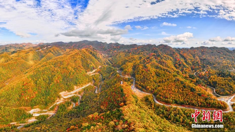 四川旺蒼鹽井河森林公園秋色濃 五彩斑斕美如畫(huà)