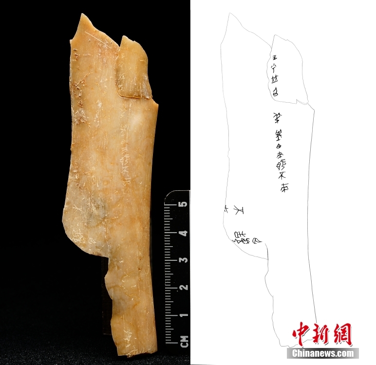陜西省考古研究院公布寶雞周原遺址最新考古成果