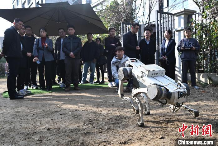 探訪“杭州六小龍”之云深處：企業(yè)迎來“參觀熱”