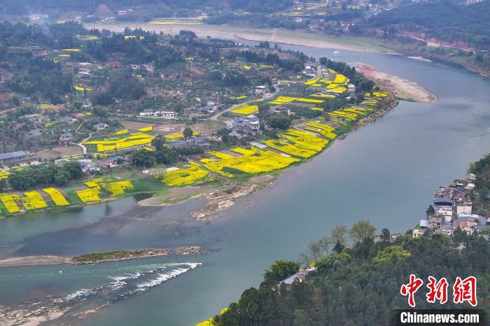 岷江之畔春色如畫(huà)