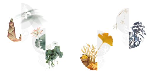 52025“四季看川”臺灣自媒體人天府游記在綿陽鹽亭正式啟動  四川31