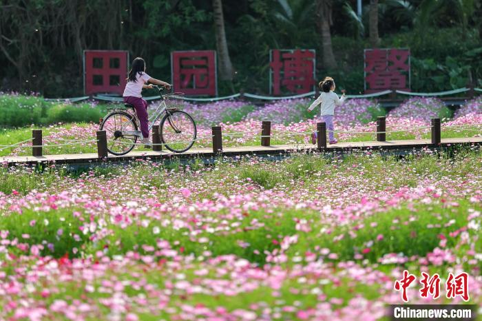 （聚焦博鰲）“國際會客廳”博鰲：面朝大海春暖花開