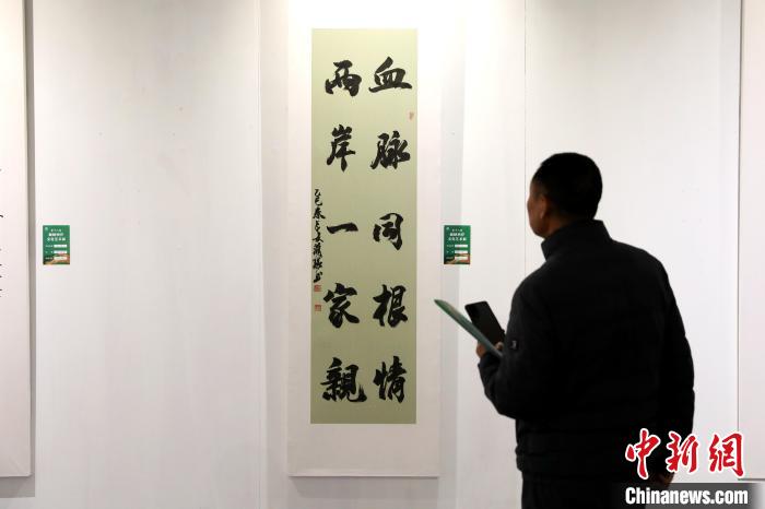 4月2日，第十八屆海峽兩岸文化藝術(shù)展在陜西西安啟幕。圖為市民參觀書法作品?！≈行律缬浾?張遠(yuǎn) 攝