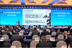 （川越海峽）兩岸融合發(fā)展  四川動能澎湃1031