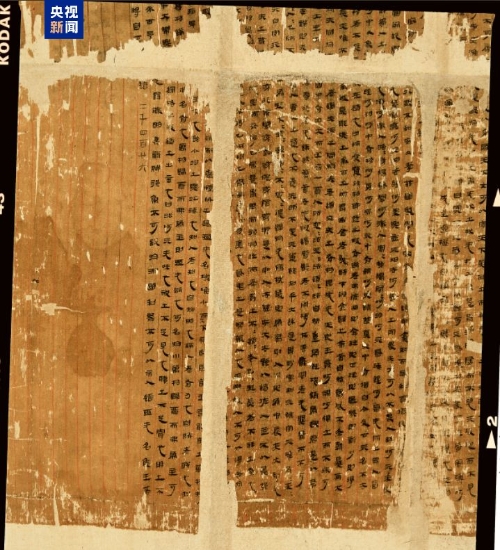 11198919618138128206