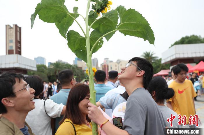 全國多地高考落下帷幕家長(zhǎng)“花式”迎接考生