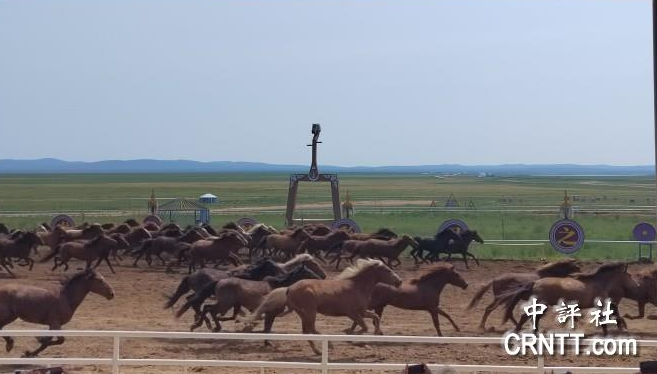 巴爾虎蒙古部落蒙古馬術(shù)表演現(xiàn)場