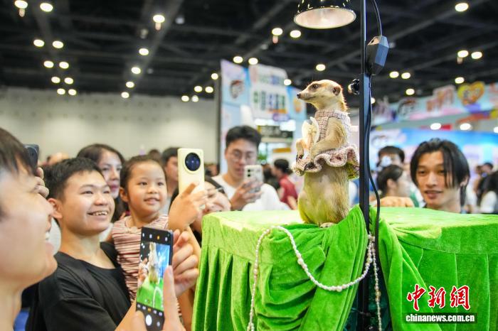 “萌”力全開廣西南寧寵物展掀愛寵熱潮