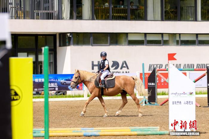 2025第三屆海峽兩岸(福建)青少年馬術(shù)邀請(qǐng)賽