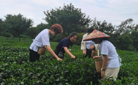 3.訪熊貓家園？尋茶祖故里∣2025年兩岸大學(xué)生研學(xué)體驗之旅在四川舉辦543