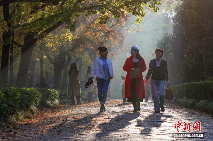 民眾走進南京明孝陵石象路感受“光影中的詩意清晨”