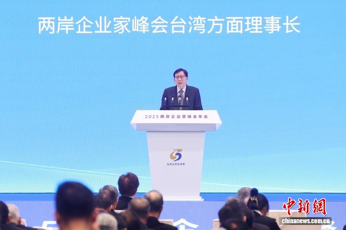 圖為兩岸企業(yè)家峰會(huì)臺(tái)灣方面理事長(zhǎng)劉兆玄發(fā)言。 <a target='_blank' href='/'>中新社</a>記者 泱波 攝