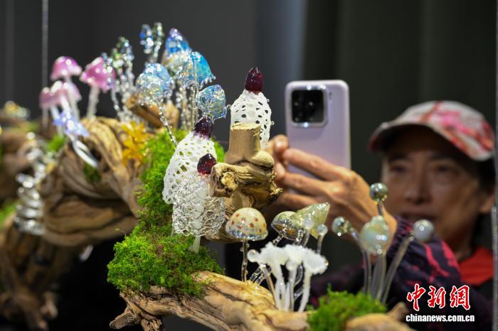 蘑幻菌物攝影藝術(shù)展亮相昆明探秘高黎貢山真菌世界