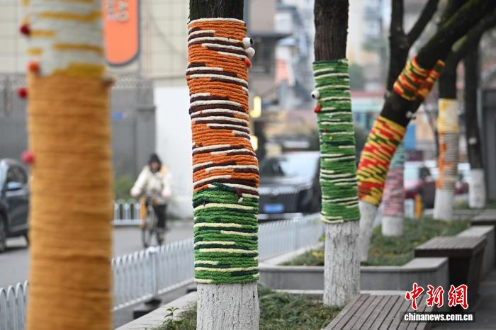 南京街頭行道樹“穿毛衣”添表情增暖意