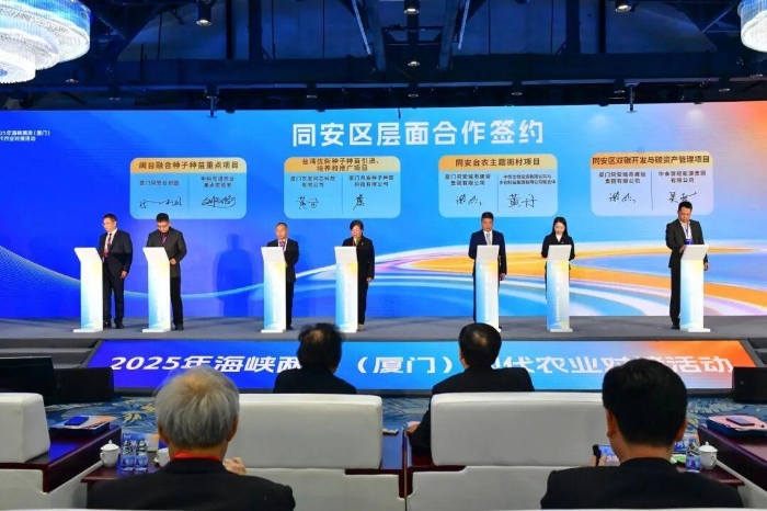 300余嘉賓齊聚福建同安，共繪兩岸融合好“豐”景