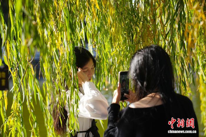 “春城”昆明小寒節(jié)氣陽光明媚