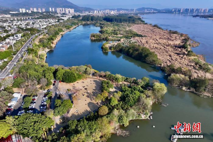 福建福州：濕地公園美如畫