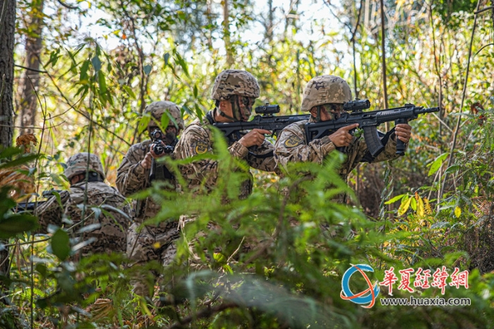 5圖為官兵在密林中搜索目標。  涂創(chuàng) 攝_副本