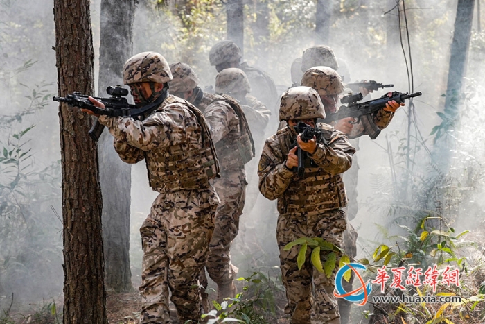 8圖為叢林地形搜索前進。  涂創(chuàng) 攝_副本