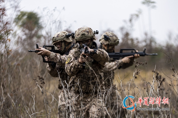 5、近日，武警廣西總隊(duì)桂林支隊(duì)組織開展冬季實(shí)戰(zhàn)化訓(xùn)練，圖為官兵們搜索前進(jìn)。張辰飛 攝_副本